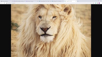 Revolution Lightbox  WordPress Plugin