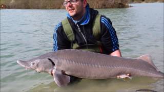 Ben Chastin sur le prunet carpasens.