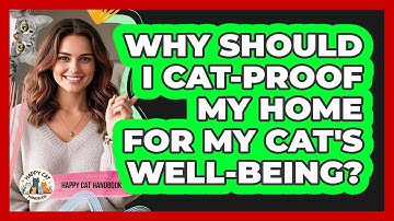Why Should I Cat-proof My Home For My Cat