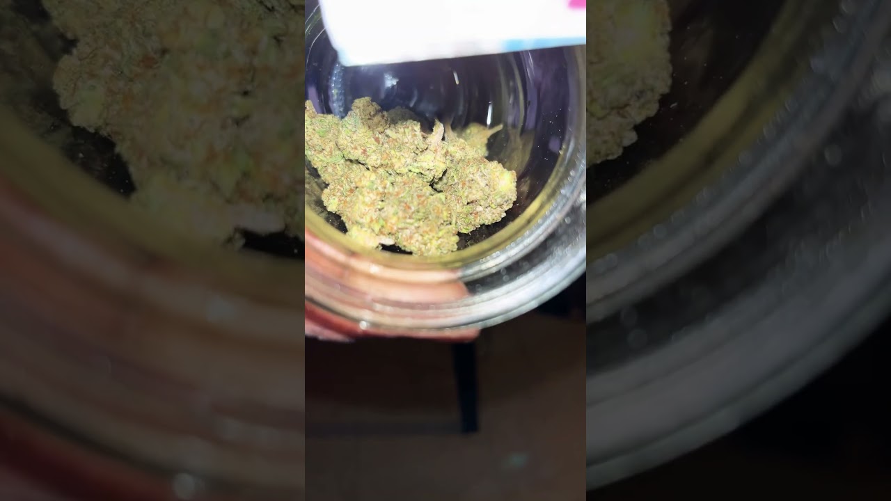 Jkdistro raspberry sherbet