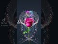 Nikurejeshee Song вќ пёЏвќ пёЏвќ пёЏ Nikurejeshee Song вќ пёЏвќ пёЏвќ пёЏ