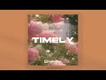 Timely - Instrumental (R&amp;B Soul x PARTYNEXTDOOR Type Beat) Mp3 Song