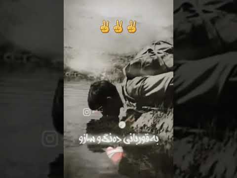 ژن ژیان ئازادی زن زندگی آزادی کوردستان نیشتمان کورد کوردم قازی محەممەد بژی S