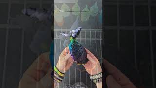 Elephant Tie Dye 🐘 Timelapse with Reveal