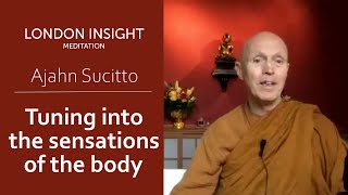 Ajahn Sucitto  Tuning into the body (with guided practice)