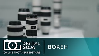 Bokeh Effect: Bokeh Effect, Bokeh Photography & Lenses | Depth of Field Photography | Tutorial