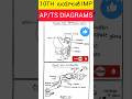 10th Biology Diagrams PAKKA 💯 | AP &amp; TS SSC 2026 | Biology Panthulu AI#examsshorts