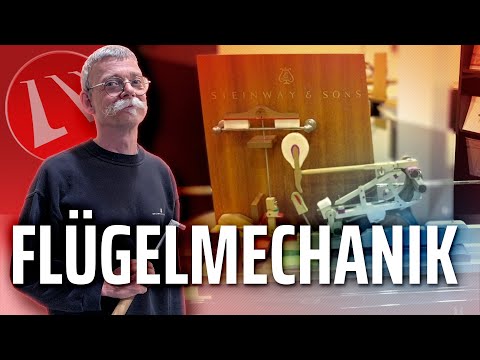Steinway & Sons Flügel Mechanik erklärt - Maiwald - Klaviere & Flügel - Wissen - 5