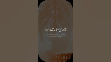 فكذبوه فنجينه ومن معه في الفلك - #هيثم_الدخين #سورة_يونس #حالة_واتس