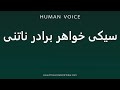 How To Pronounce سیکی خواهر برادر ناتنی 