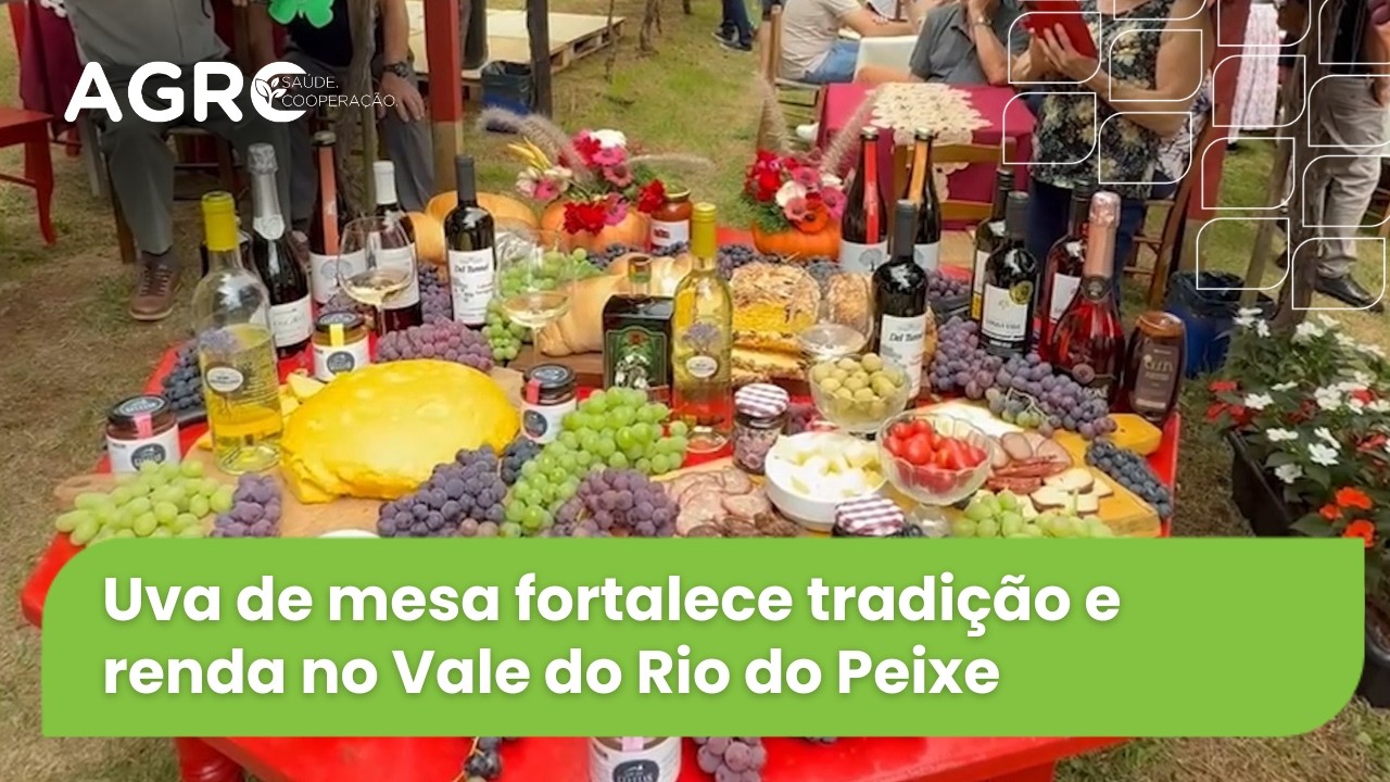 Agro Saúde e Cooperação - Uva de Mesa
