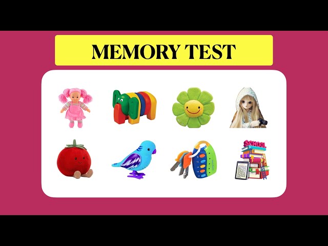 MEMORIZED! Memory Test em COQUINHOS