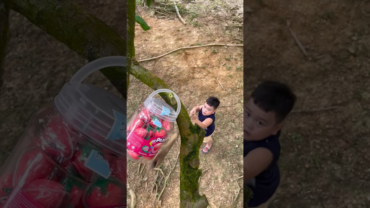 sv388 casino Ky nang sinh ton ba me don than voi ky nang hai keo dau trong rung outdoors survival shots