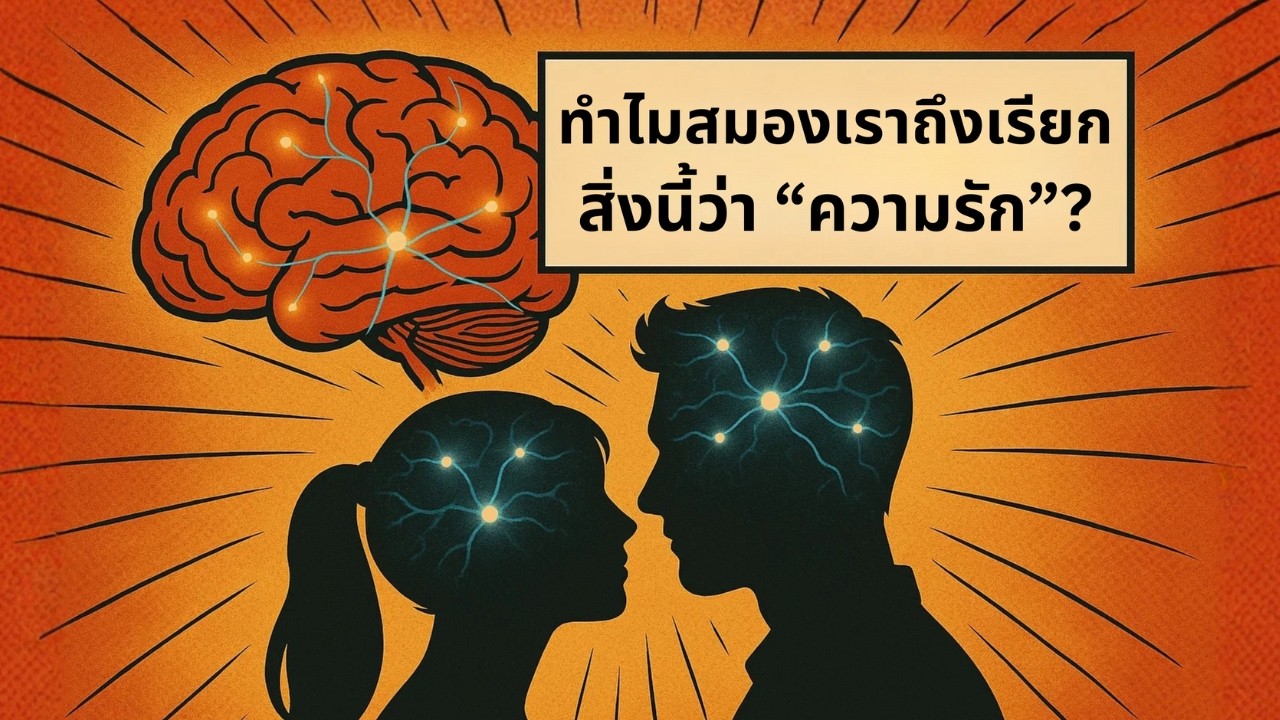 รักคืออะไร? | รู้จัก “กลไกสมอง” ที่ทำให้เรารู้สึกรัก
