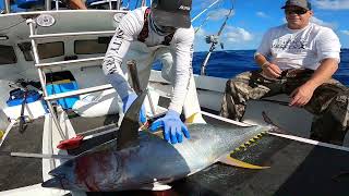 First Tuna on The Aukai