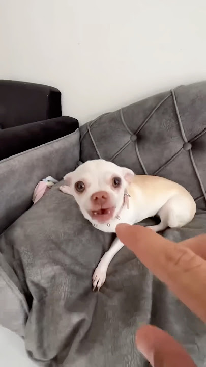 Niki loves you all 😱😍