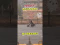 豪雨災情