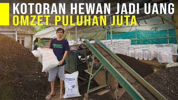 Ide Usaha Olah Kotoran Kambing dan Sapi Jadi Pupuk Bernilai Ekonomi Tinggi - YouTube