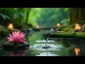 Relaxing Music Water Sounds Green Bamboo Water Fountain Healing Calm Piano Music for Insomnia