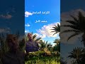 الكرامة الصامتة