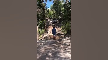 Old Log Bridge Olive Creek