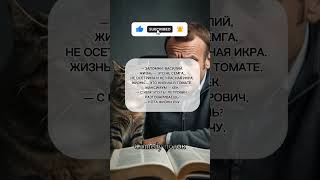 Философия миски #новости #приколы #комедийные