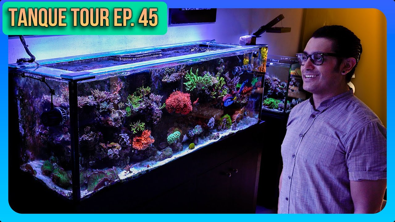 TANQUE TOUR Ep. 45 / Joshua Nuño  | OSO REEF