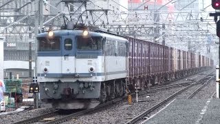 JR貨物 EF65-2036 貨物列車 (5087レ JR貨物更新色 青プレ PS17) 名古屋駅