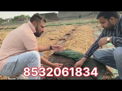 किसान अब गोबर से छाप रहे पैसा! | Vermicompost Farming Success