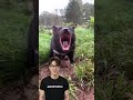 This Animal is STRAIGHT UP NIGHTMARE FUEL 😨 (Part 3)” #facts #wildlife #tasmaniandevil