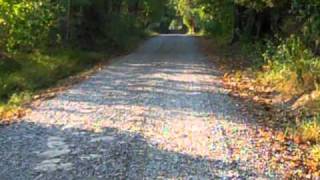 Happy Trails Honey Hollow