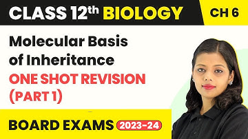 Molecular Basis of Inheritance -One Shot Revision (Part 1)| Class 12 Biology Ch 6 NCERT/NEET 2022-23
