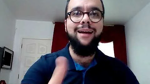 O que constitui o processo constitucional?