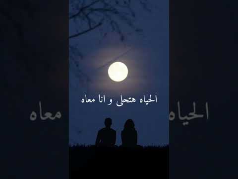 أنه احلى و اغلى الناس اغاني عمرو دياب Shorts Short Shorts 