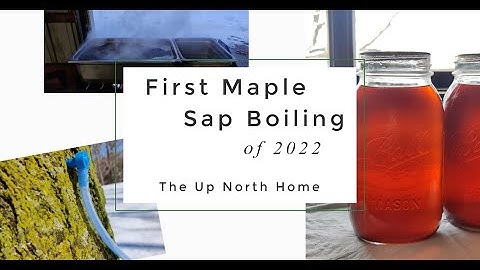 Making Maple Syrup ~ First Batch of the Year ~ The Up North Home