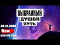 ВЫБРАННЫЙ ДУШОЙ ПУТЬ | Абсолютный Ченнелинг