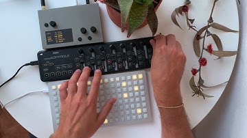 Le Temple de la Raison - mlre / monome norns / 128 grid DAWLess ethereal beats - Live set