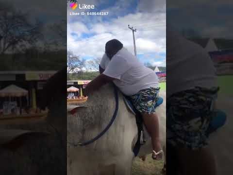 العمار الكبرى مركز طوخ القليوبيه