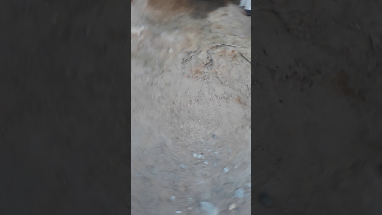 سفر في سفان مزارع(5)