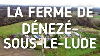 Ferme à reprendre dans le Maine-et-Loire (Dénezé-sous-le-Lude)