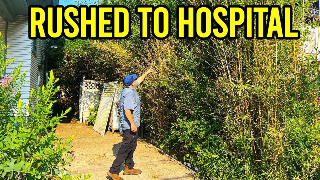 20FT OVERGROWN Yard! SHE had to be RUSHED to the Hospital!