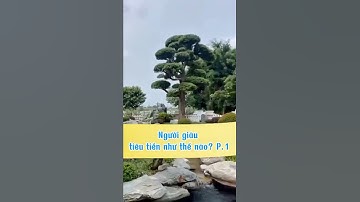 Người giàu tiêu tiền như thế nào P1. #sanvuondep #thietkehocakoi #sanvuonnhat #jakoifarm