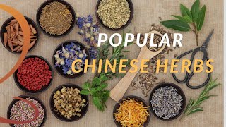 Two Popular Chinese Herbs Explained | Introduction to Traditional Chinese Medicinal Herbs