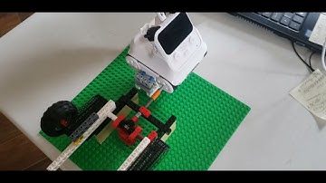 Lego and Codey Rocky running together.