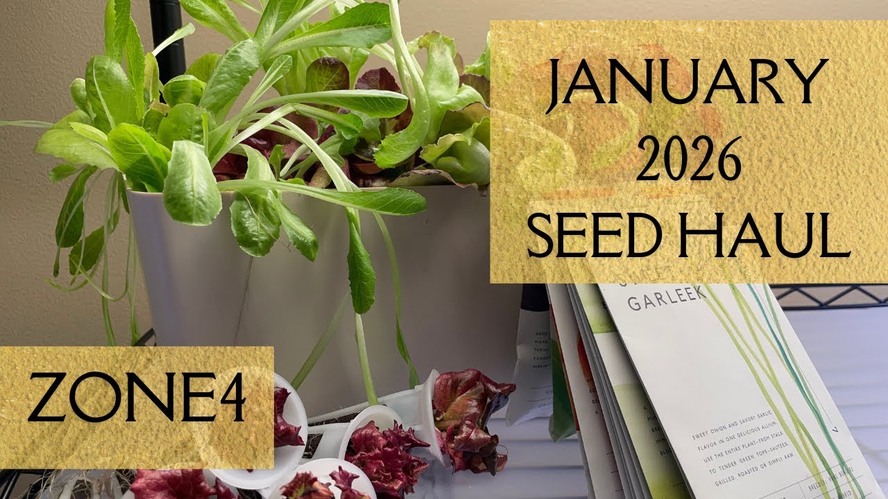 NEW Seed Haul - January SeedStarting - Hybrid & Open Pollinated Row 7 - Zone 4 Indoor Gardening