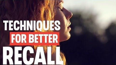 The Science of Memory: Techniques for Better Recall