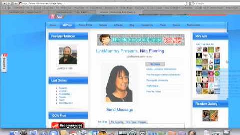 How to Increase your Pagerank ranking and Alexa Rank - SEO Help