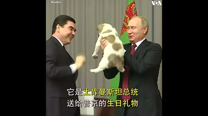 俄羅斯總統普京又收穫一隻小狗崽兒！ - 天天要聞