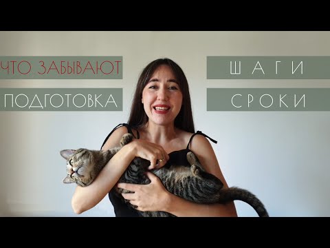 Перелет с котом | Как перевезти кота в самолете | Переезд в Турцию 2022