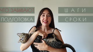 Перелет с котом | Как перевезти кота в самолете | Переезд в Турцию 2022